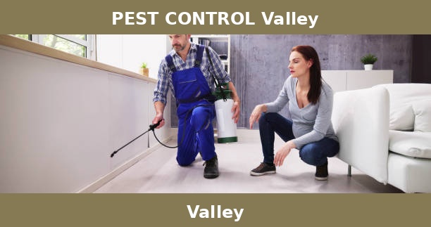 PEST CONTROL Valley